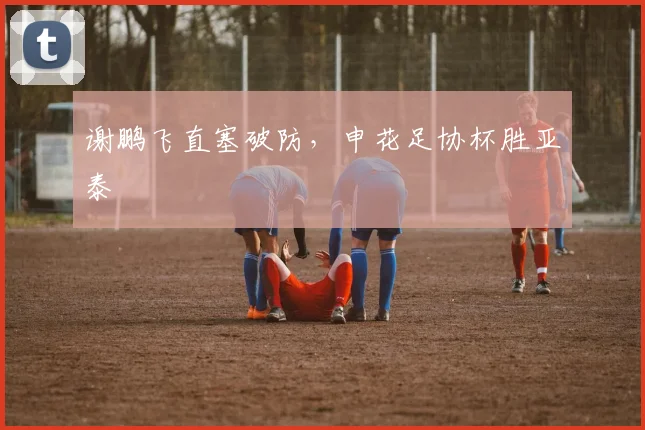 谢鹏飞直塞破防,申花足协杯胜亚泰