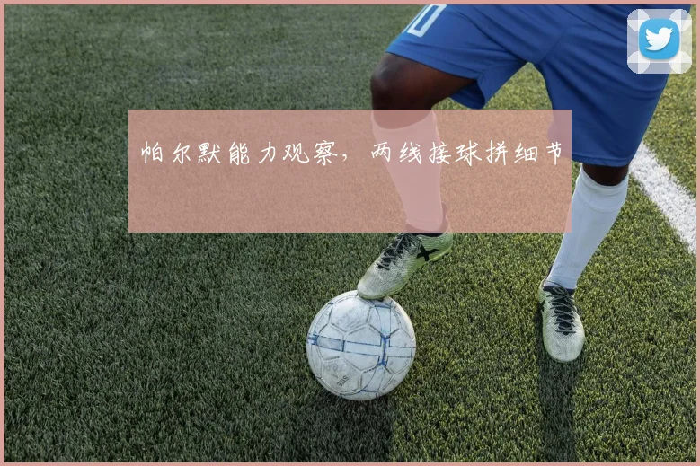 帕尔默能力观察，两线接球拼细节