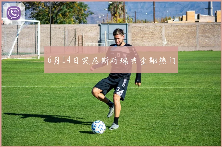 6月14日突尼斯对瑞典金靴热门