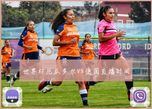 世界杯厄瓜多尔vs德国直播时间
